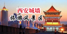 鸡巴放女生下面网站中国陕西-西安城墙旅游风景区